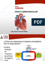 SEM03-teoría 3 Ap. Circulatorio y Respiratorio