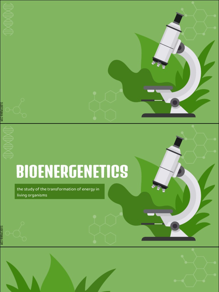 Bioenergetics Presentation G 11 Pdf Cell Biology Cell Nucleus