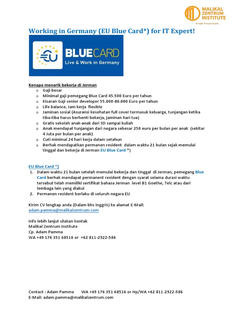 IT Jobs in Germany with EU Blue Card | PDF