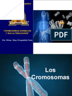 Universidad de Aquino Bolivia: "Cromosomas Normales Y Sus Alteraciones"