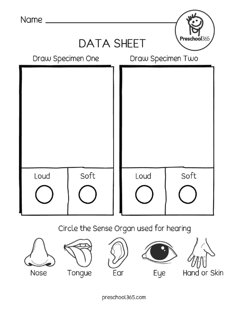 Sense of Hearing 2e | PDF