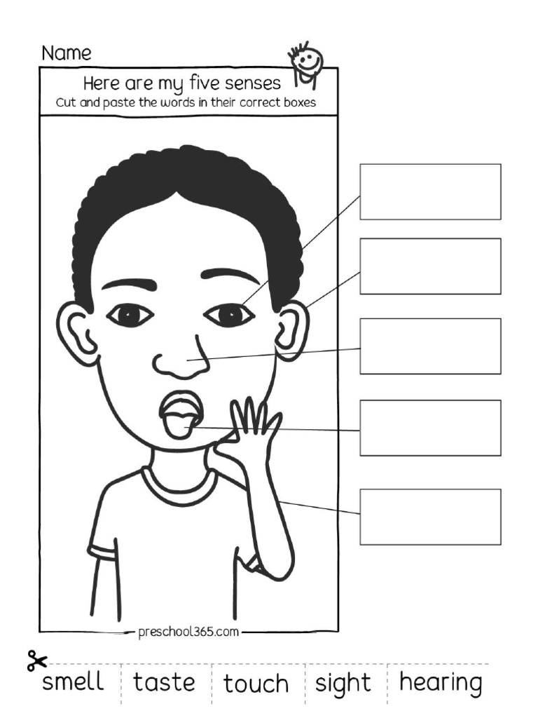 My Five Senses Prek Activity S | PDF