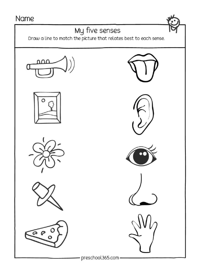 My Five Senses Preschool Activity S | PDF