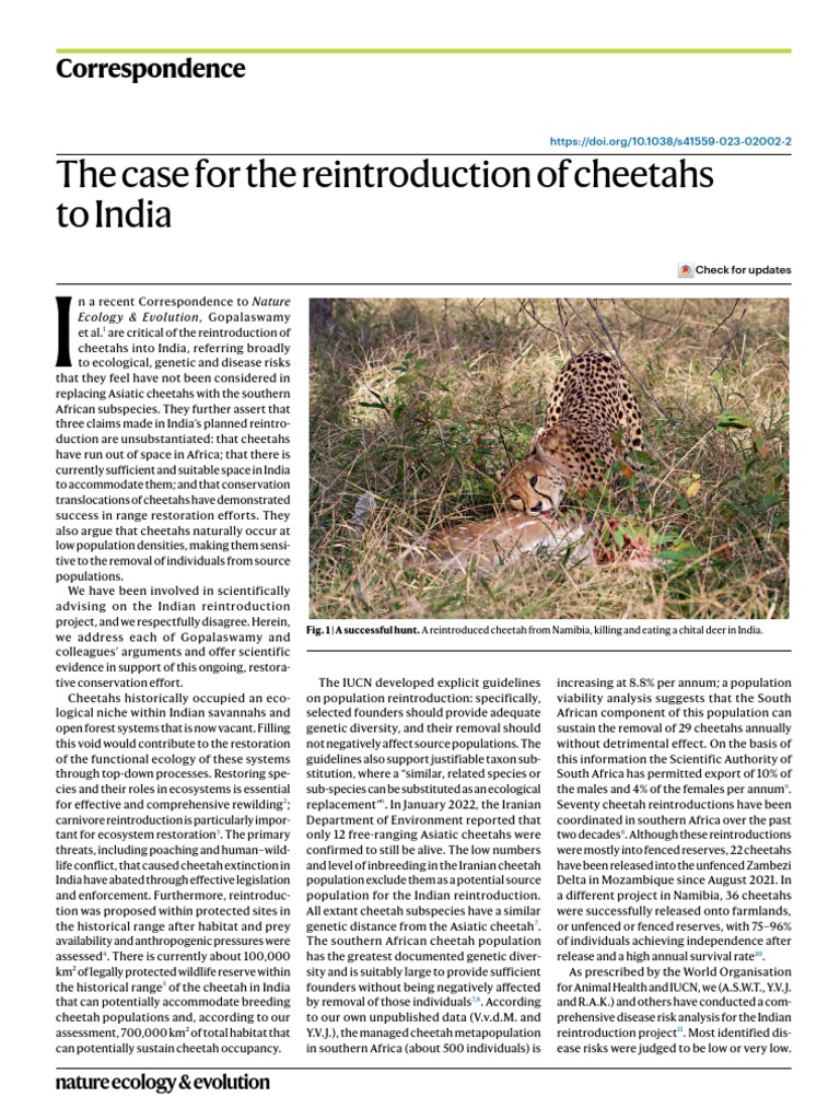 Cheetah Reintroduction in India: A Defense | PDF | Environmental ...
