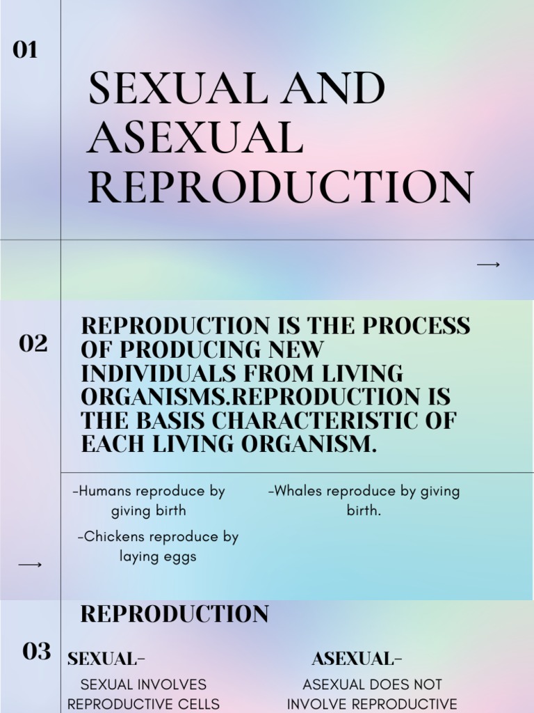 Reproduction visual data 2