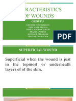 Characteristics of Wounds Group 5