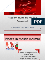 AIHA-Autoimmune Hemolitik Anemia