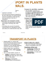 Transport in Plants and Animals.