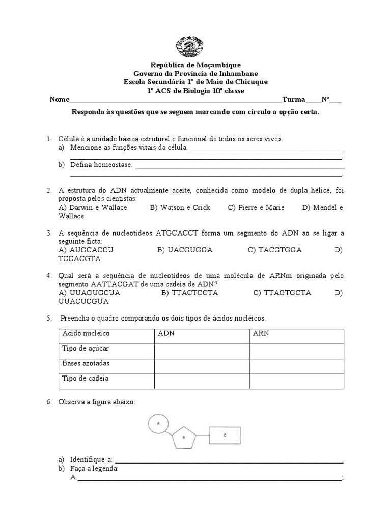 1-teste-biologia-10-classe-2023-pdf