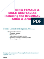 ASSESSING FEMALE MALE GENITALIAS Including The INGUINAL