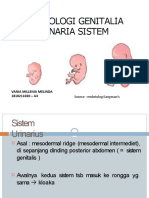 Embriologi Vania - A3