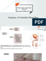 Anatomy Fisiology