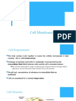 Cell Membrane