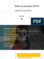 Bipolární Afektivní Porucha (BAP) : Maniodepresivní Psychóza