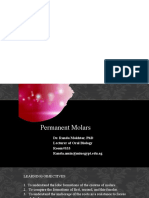 1 - Maxillary 1st Molar Part 1