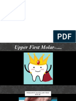 2 - Maxillary 1st Molar Part 2