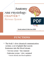 Human Anatomy and Physiology:: Nervous System