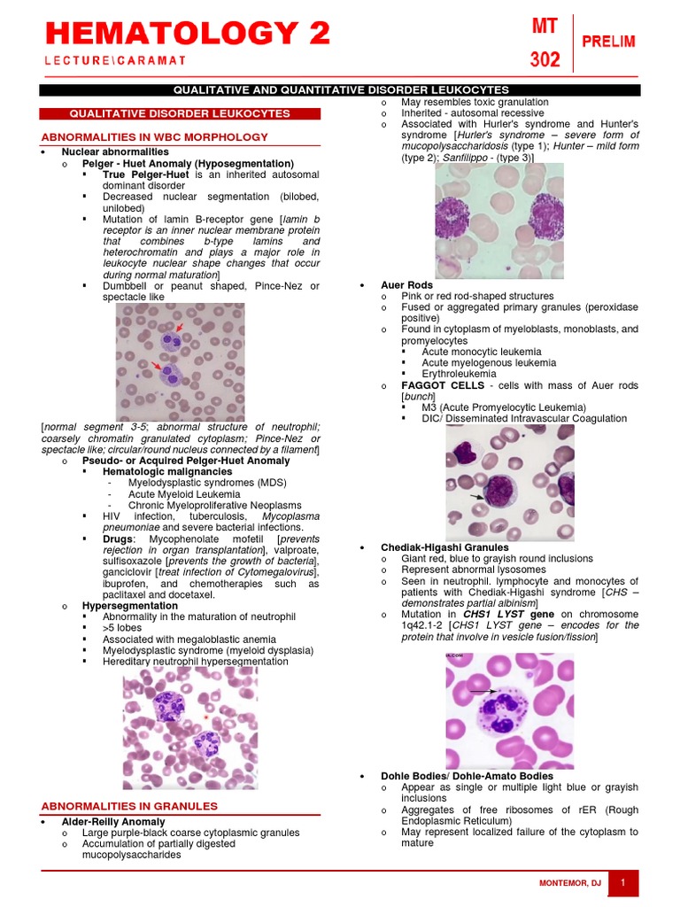 Leukocyte Disorders Overview | PDF | Hematology | Diseases And Disorders