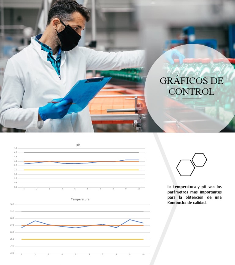 Gráficos de Control PDF