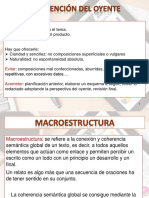 Macroestructura