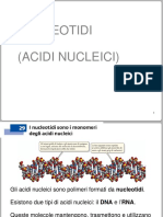 Acidi Nucleici - Nucleotidi - A3 Sadava