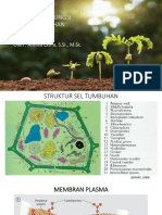 Struktur Dan Fungsi Sel Tumbuhan