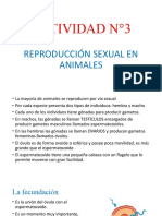 Actividad N°3reproduccion Sexual en Animalescuartoadelita2022