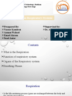 Respiratory System New Seminar (Anatomy)