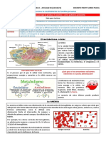 2do Sec Cyt: Reconocemos La Creatividad de Las Familias Peruanas