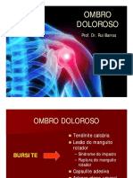 Ombro Ombro Doloroso Doloroso: Prof. Dr. Rui Barros Prof. Dr. Rui Barros