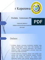 Perilaku Kekerasan