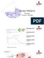 Terapi Malaria - Plasmodium sp