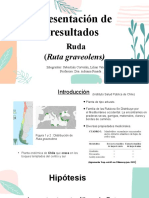 Presentación de Resultados: Ruda (Ruta Graveolens)