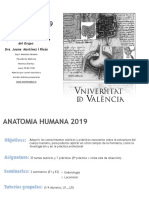Anatomia HUMANA 2019: Profesora Teoría y Responsable Del Grupo: Dra. Joana Martínez I Ricós