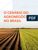 O Cenário Do Agronegócio No Brasil: Pesquisa de Mercado