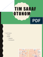 Saraf Otonom