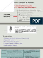 Inteligencia Emocional y Direccion de Proyectos (Apoyo)