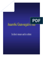 Anaerobic Gram Negative Rods