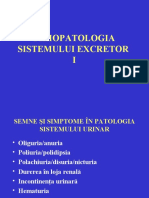 Fiziopatologia Sistemului Excretor I