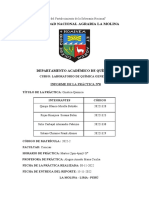 Informe 8 Cinetica Química