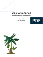Viaje A Canarias: Seminario I. Biología Vegetal y Animal