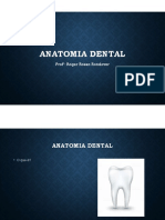 Anatomia Dental.