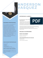 Anderson Vasquez: Experiencia Laboral