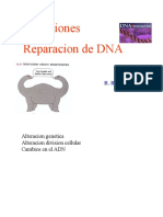 Reparación de DNA