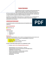 Endocrinología 2