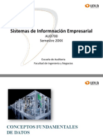 Sistemas de Informnación Empresarial: AUD700 Semestre 20XX