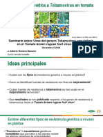 Resistencia Genetica A TOBRFV en Tomate