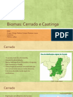 Cerrado e Caatinga