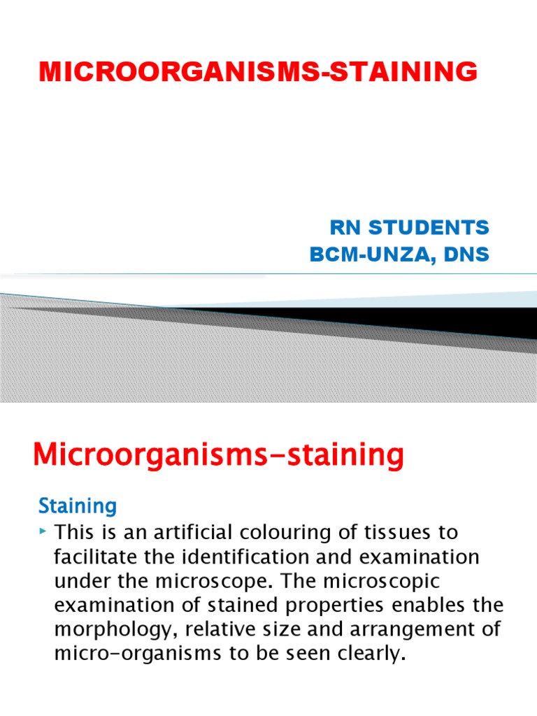Microorganisms Staining Download Free Pdf Staining Bacteria