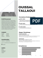 Ouissal Tallaoui: Formations Professionnelles Profil Personnel